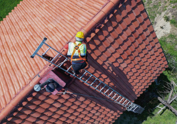 Best Roof Moss and Algae Removal  in Westerville, OH